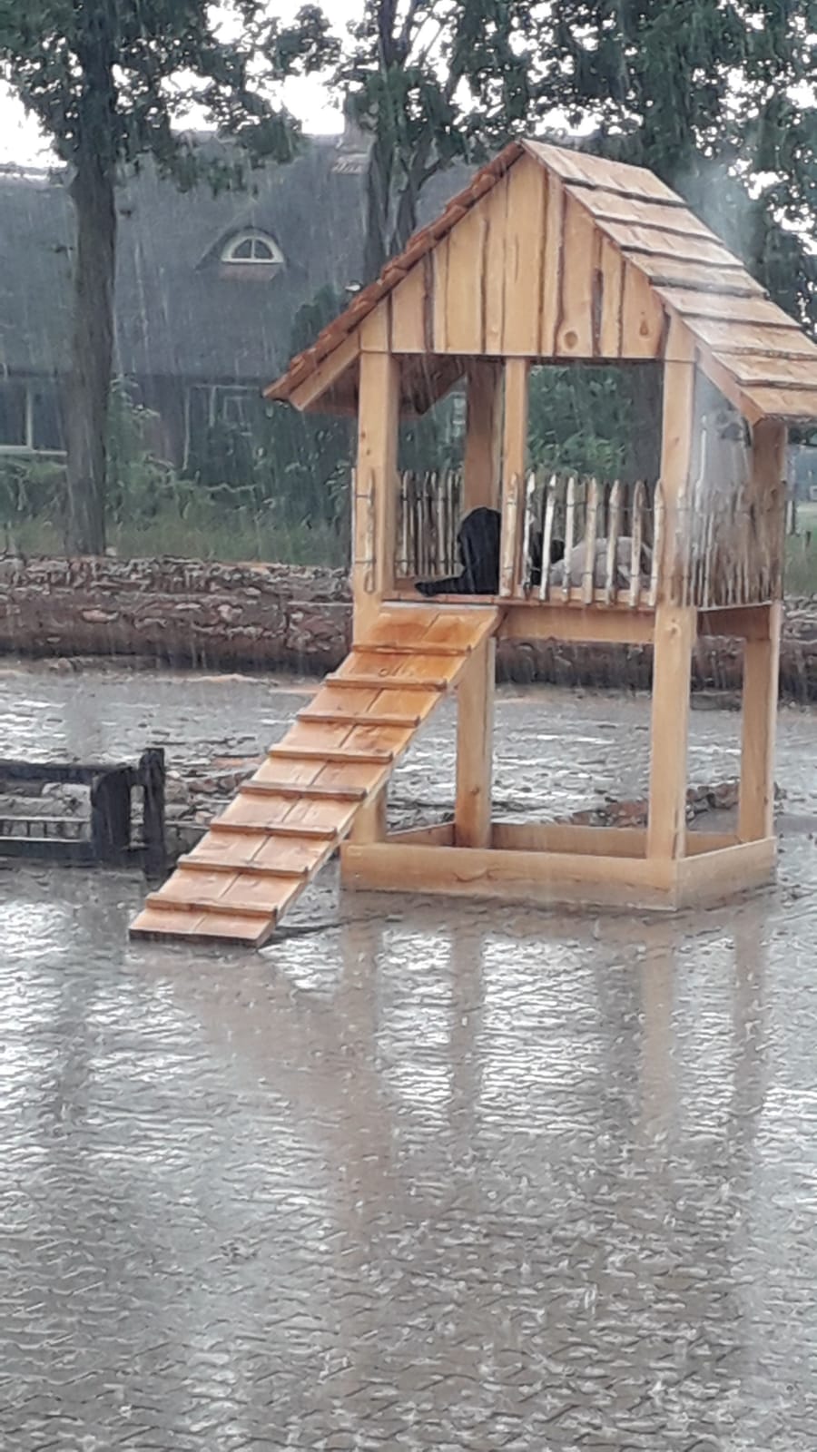 website houtzagerij 5